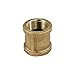 Everflow BRCP0018-NL 1/8 Inch Two Female NPT Threaded Lead Free Brass Coupling, Connecting Pipes and Fittings, Brass Construction, Higher Corrosion Resistance, Economical & Easy to Install