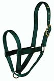 Hamilton 1 Yearling turnout Halter, Dark Green