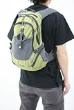 [��������] DAKINE AMP 18L Moss 18L 8110-006