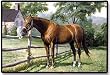 Mare Horse in Field Western Doormat Mat Rug Mat