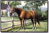 Mare Horse in Field Western Doormat Mat Rug Mat