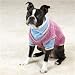 Dog Sweater - Cable Knit Mock Twin Pet Set - X-Large (XL)