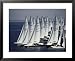1978 World Championship Etchall Races, Newport Beach, California, USA Framed Art Post...