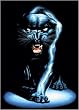 Black Panther - Poster (Size: 24" x 36")