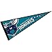 WinCraft Charlotte Hornets Pennant Full Size 12 in X 30 in