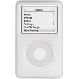 Case for Ipod