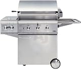 DCS BGB30BQRL-CAD30 30 Freestanding Gas Grill with with 2-25,000 BTU Burners, Heavy-Duty Rotisserie Motor and Smart Beam Grill Light (Actual Cart Image not Shown): Liquid Propane