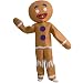 Shrek-Gingerbread Man Child Costume