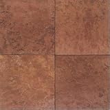 American Olean Canyon Ridge 12 x 12 Poppy Ceramic Tile