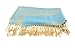 Belle Donne Jacquard Paisley Pashmina Soft Wrap Shawl Stole Tapestry Scarf