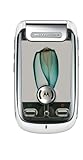 Motorola Ming