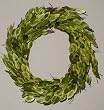 15" Mini Olive Leaf Wreath