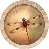 Dragonfly Parchment Sandstone Thirstystone Coasters