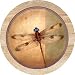 Kitchen & Housewares : Dragonfly Parchment Sandstone Thirstystone Coasters
