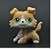 Five Stars Store Littlest Pet Shop Without Magnet Pet Collie Dog Child Girl Figure Toy Loose Cute