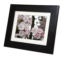 Smartparts SPX8WFEF 8-Inch Wi-Fi Digital Picture Frame