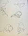 Birds Man Shooting By J Dowd & B Spender Pen Drawing