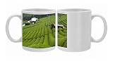 Rows of green tea bushes growing on the Makinohara tea plantations in Shizuoka, Photo Mugs