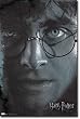 Harry - Harry Potter and the Deathly Hallows Part 2 Movie Poster