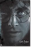 Harry - Harry Potter and the Deathly Hallows Part 2 Movie Poster