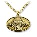 Oval Flying Spaghetti Monster Pendant - antique-gold finish