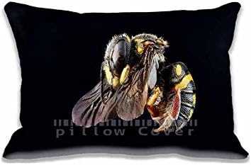 Cushion Cover To Decorate Anthidiellum Notatum Bee Flying Throw Pillow Cases Polyester and Cotton , Animals Zippered Chair Cushion Covers , Insects Pillowcases for Home Decoration
