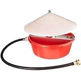 Little Giant Automatic Poultry Waterer
