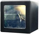 Trademark Global Floating Space Ship Magic Box Savings Coin Bank