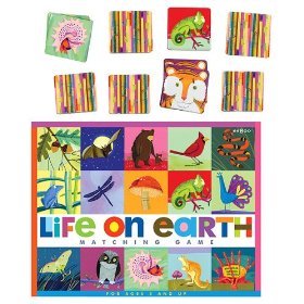 eeBoo Life on Earth Memory Game