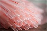 40 Big Fat Bubble Tea Straws Great for Bubble Tea or Even Rehabilitation
