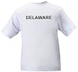 DELAWARE - State-series - Heather Grey or White T-shirt