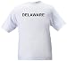 DELAWARE - State-series - Heather Grey or White T-shirt