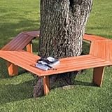 IMAGE OF Eucalyptus Tree Bench - Improvements