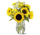 Teleflora's Sunflower Splash