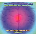 Journey Through a Burning Brain (Anthology) by  Tangerine Dream 