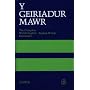 Y Geiriadur Mawr: Complete Welsh-English, English-Welsh Dictionary