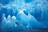 Antarctic Wonderland (Penguins on Ice) Art Poster Print - 24" X 36"