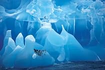 Antarctic Wonderland (Penguins on Ice) Art Poster Print - 24" X 36"
