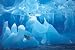 Antarctic Wonderland (Penguins on Ice) Framed Art Poster Print - 24" X 36"