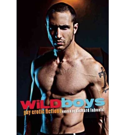 [ WILD BOYS: GAY EROTIC FICTION - Paperback ] LaBonte, Richard ( AUTHOR ) Sep - 18 - 2012 [ Paperback ]