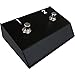 Hughes & Kettner FS2 Footswitch for Triplex and Tour Reverb