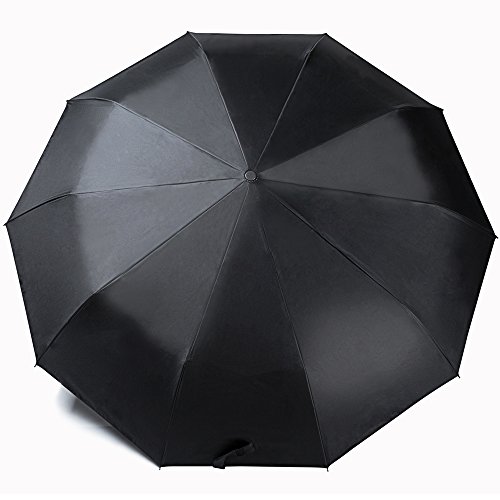 NIELLO Best Outdoor Umbrellas, Automatic 10-Rib Maximum Level of Windproof ,Steel Windproof Frame Rain Umbrella