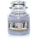 Yankee Candle Small Jar Candle, Silver Birch 3.7oz