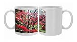 Batsford Arboratun Photo Mugs