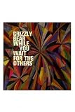 While You wait For The Others [VINYL]