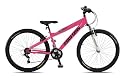 Reflex Mad Cow Ladies Jump MTB 26" 2009 18 REVO