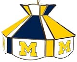16 inch Stained Glass Swag Light - Michigan - NCAA Team