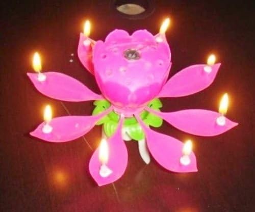 Izzy SPIN MUSICAL BIRTHDAY LOTUS FLOWER CANDLE
