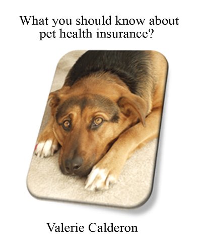 What you should know about pet health insurance? 