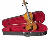 Musino 3000 Series Violin Outfit